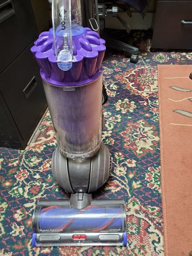 Dyson animal - up, 22