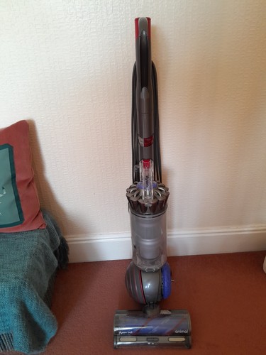 Dyson ball animal damage - animal,